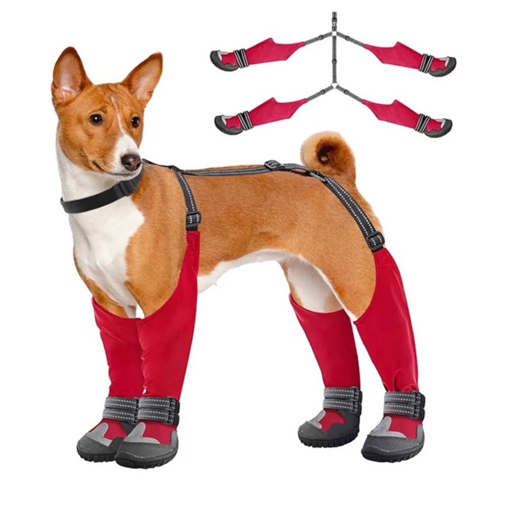 Red Dog Protective Leggings